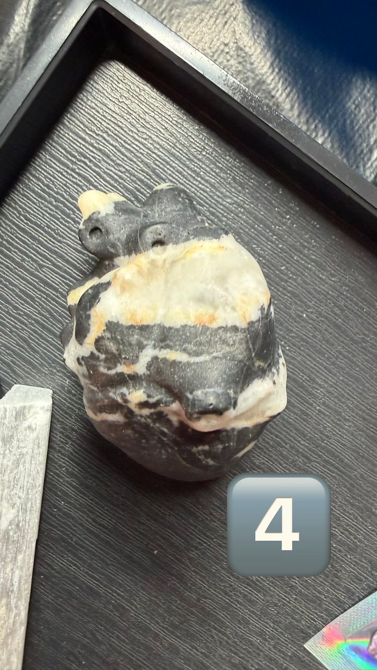 Protection & Cleansing Intention Crow Treasure Scoops & Tarot Reading